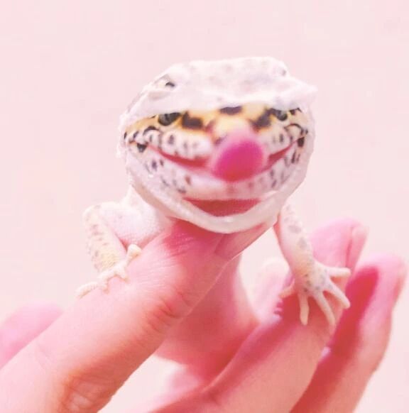 お礼日記&#128214;&#128149;