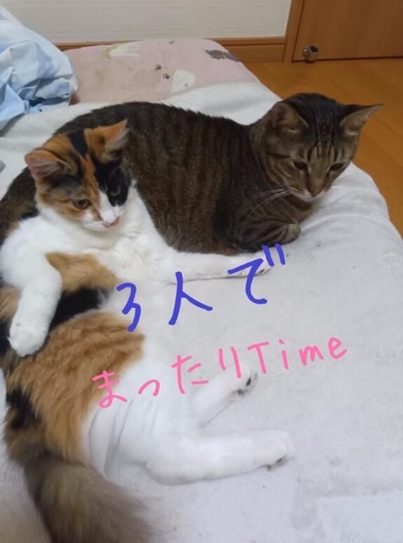 【折り返し地点】