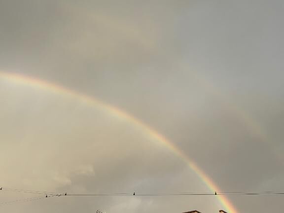 明日もいるよー♡