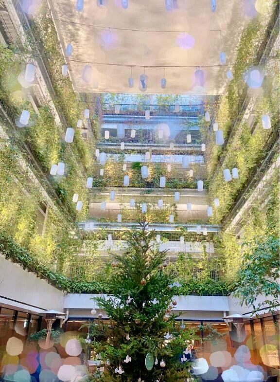 &#128330;&#65039;&#129293;