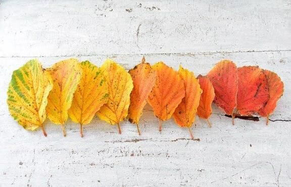 おはようございます♡