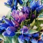 おはようございます