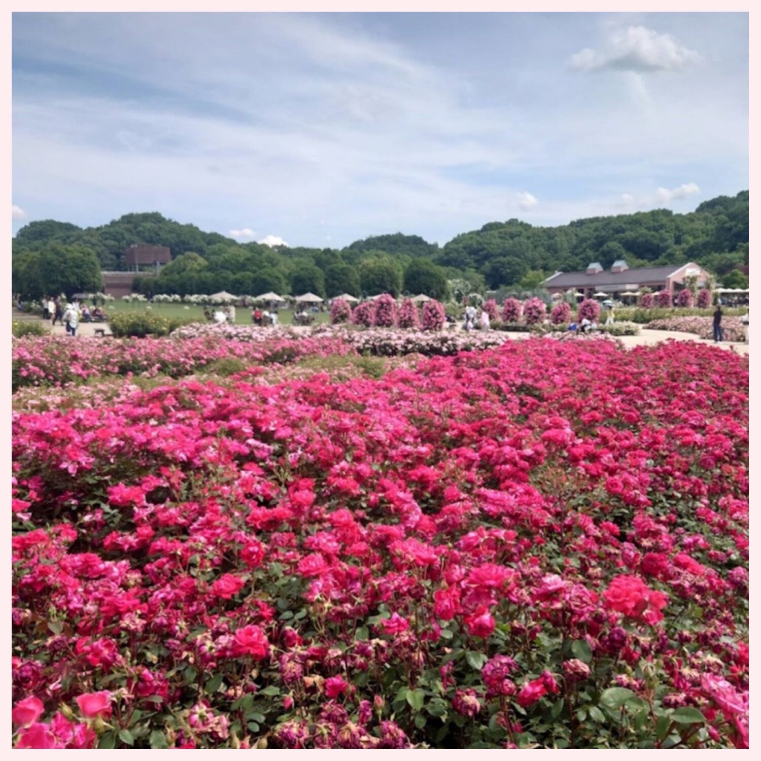 出勤してます(^^)