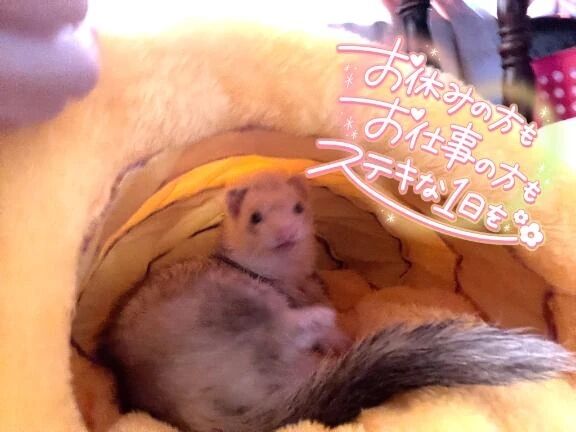 おやすみの過ごし方♡