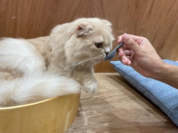 究極の選択？　猫派か犬派か！&#9825;&#9825;