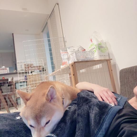 [お題]from:水がぶ飲み☆さん