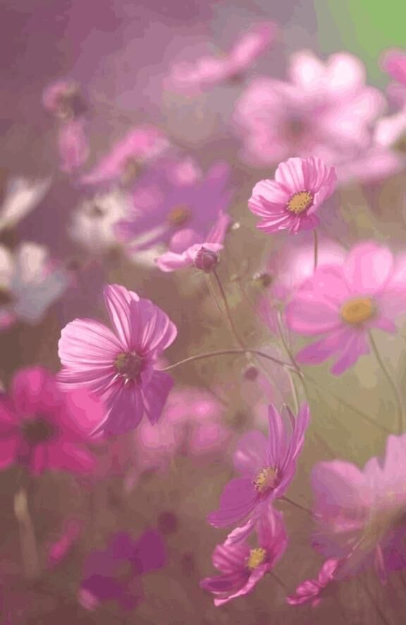 昨日のお礼&#9825;