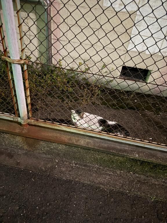 ありがとう♡♡