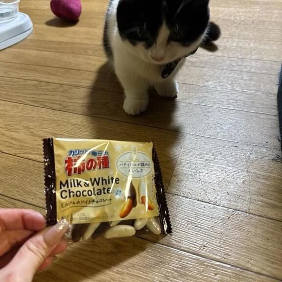 ハマってる❤️