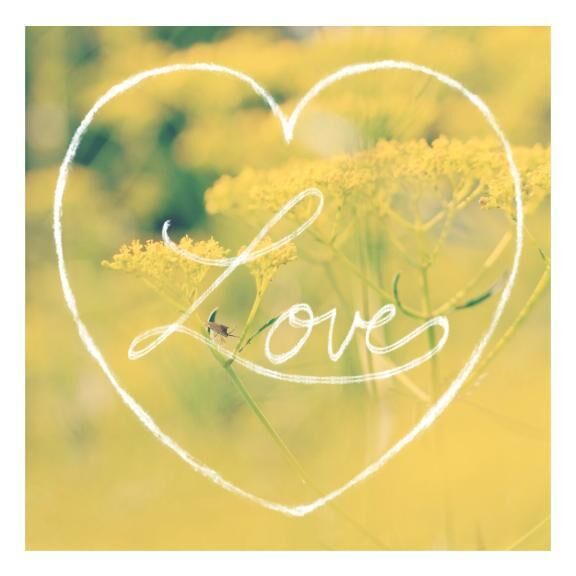 11/7♪ありがとう