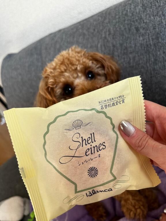 良い朝だ&#x301C;&#9825;