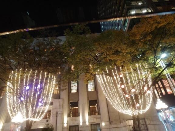このイルミネーション　🪩✨