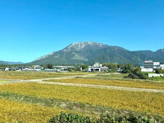 紅葉見たいな&#9825;