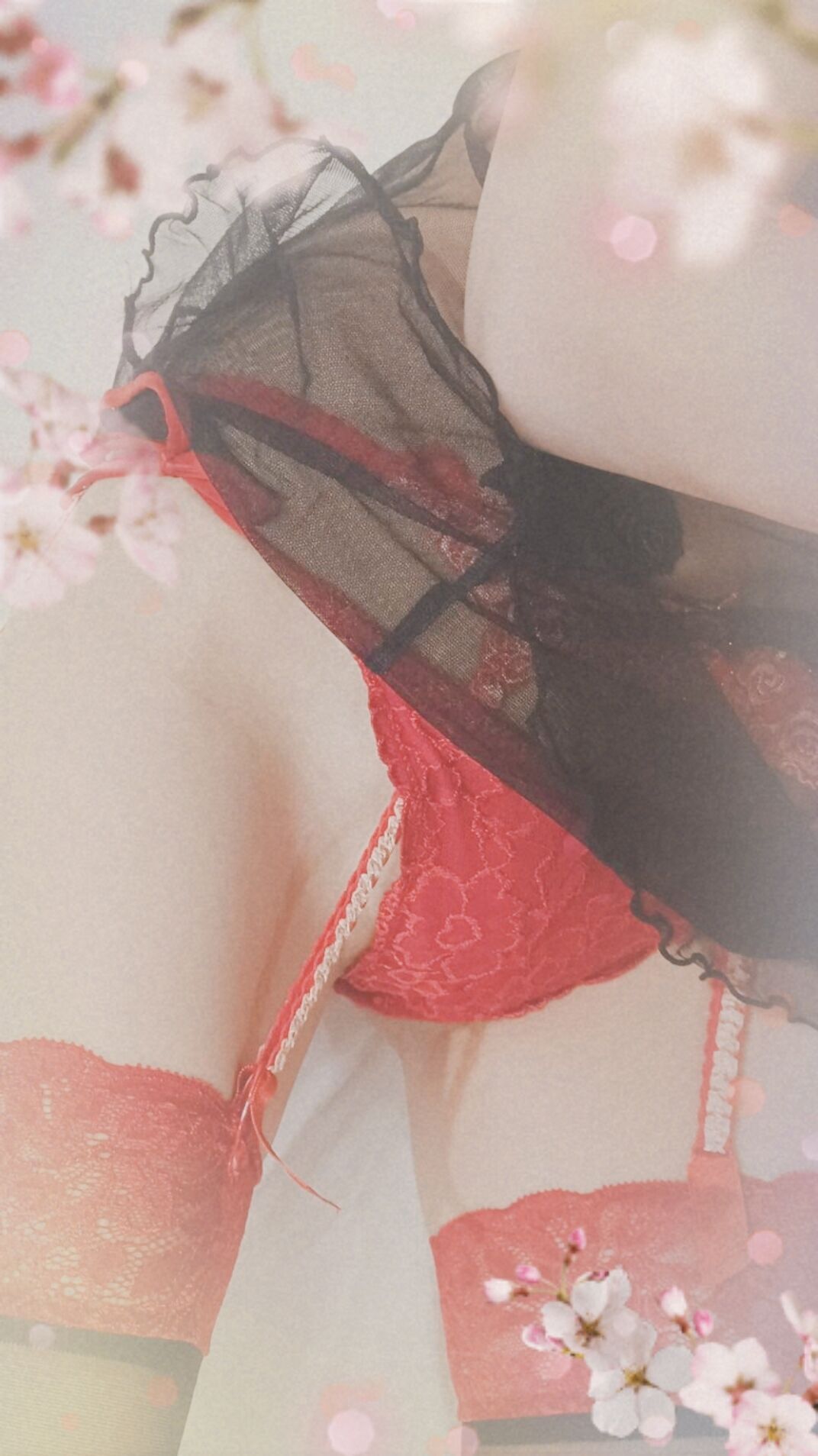 イベントのお知らせ1