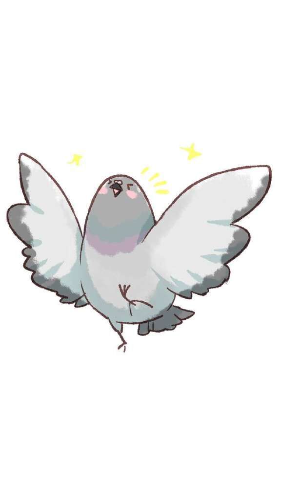 【アニマル診断】今日の運勢ランキング