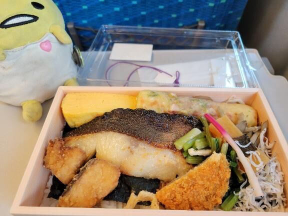 今日はお休みです