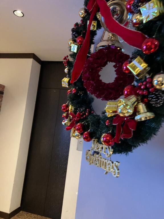 次回は日曜日です