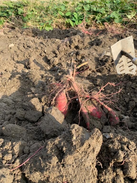 充実した午後♡