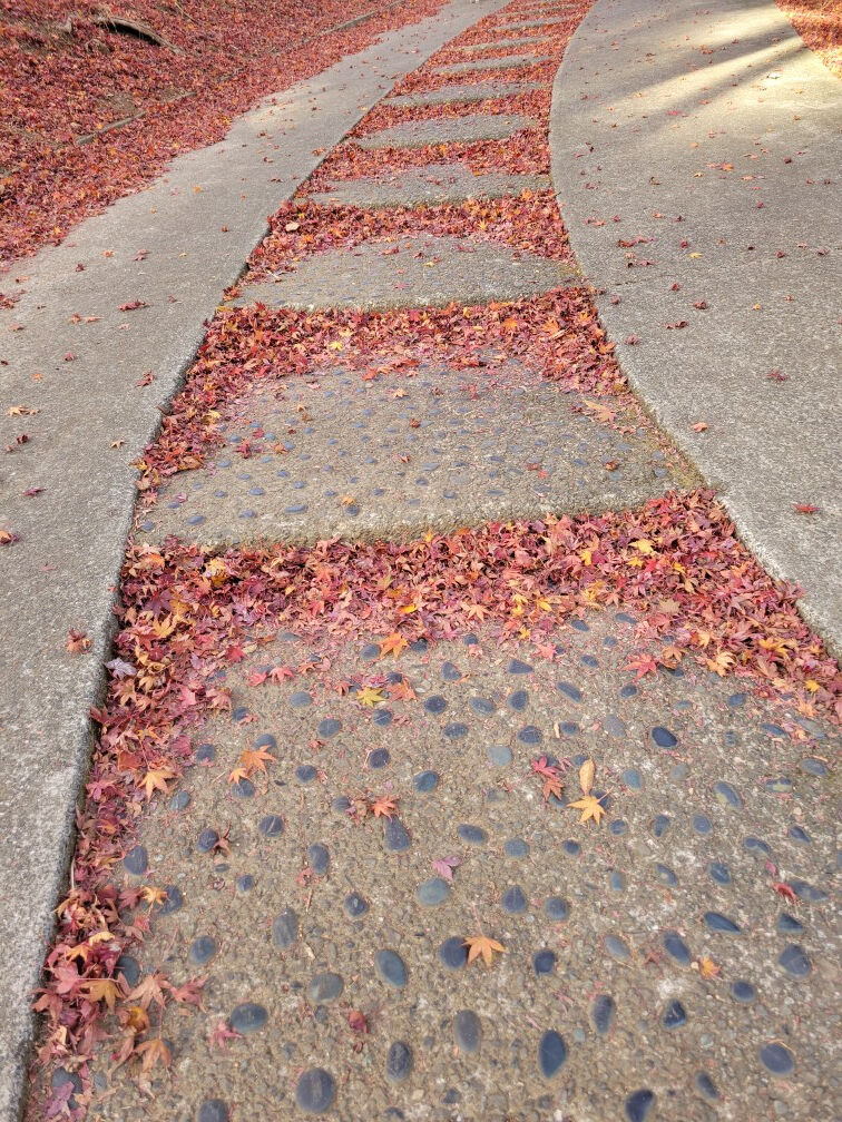 8日(土)　11時30分　&#9825;様