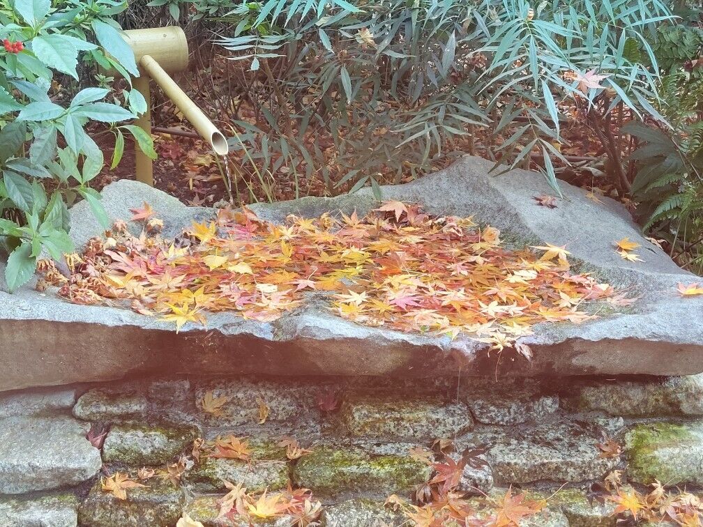 8日(土)　17時　&#9825;様