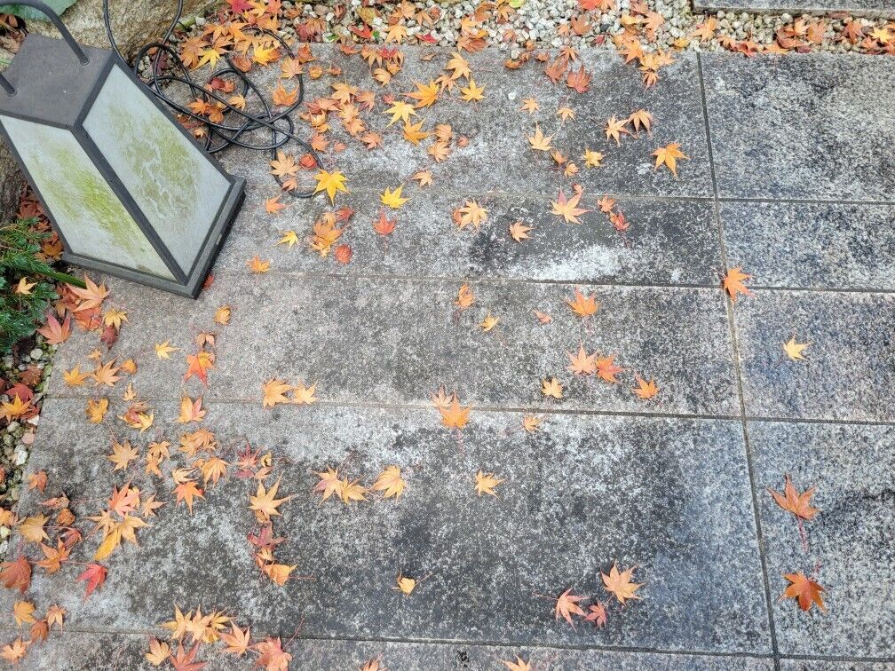 8日(土)　19時30分　&#9825;様