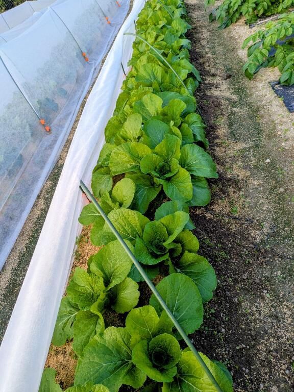 &#9825;&#9825;ポカポカお天気&#9825;&#9825;