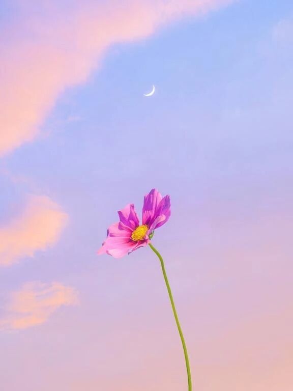 おやすみなさい