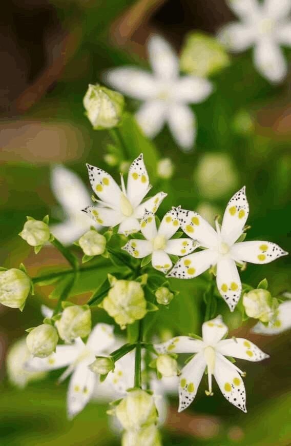 昨日のお礼です&#9825;