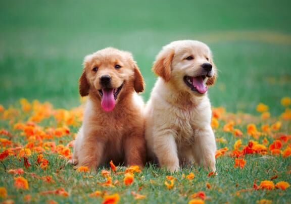 おはよぅござぃます&#9825;