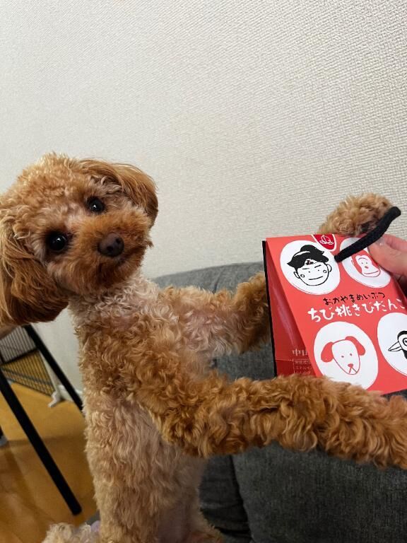 きびだんご貰っても言う事聞かないタイプ