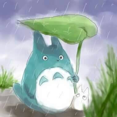 雨だねぇ☔