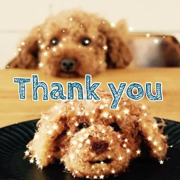 ピアットの初めまして様&#128054;