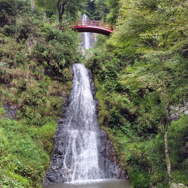 よろしくおねがいします