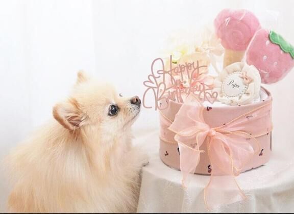 マッサージ最高って