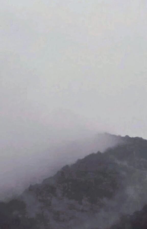 ⭐こんばんは⭐