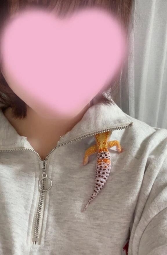 さむいよ&#x301C;&#129398;