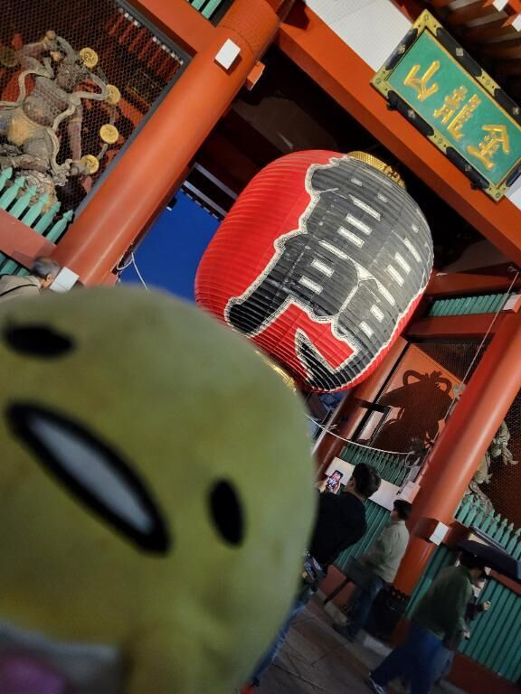 今日はお休みです