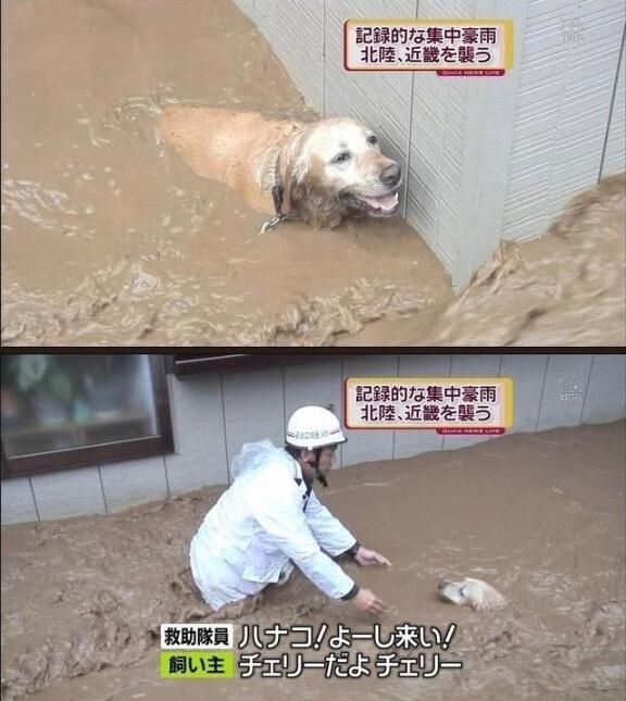 ありがとうございました♡♡♀♡♡♡♡♡