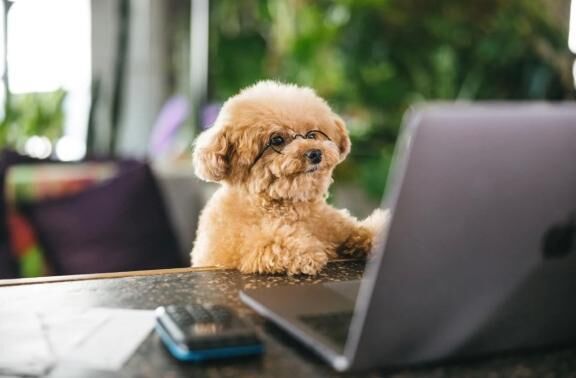 今日もありがとぅ&#9825;