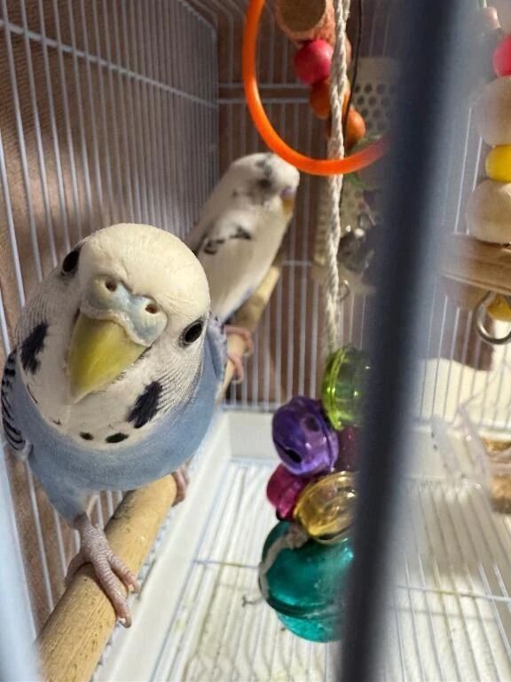 しぃたんが…&#9825;&#9825;