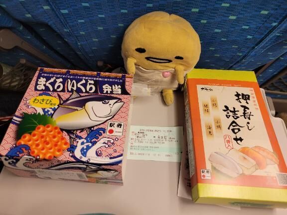 今日はお休みです