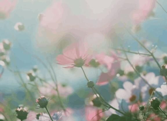 ありがとうございます&#9825;