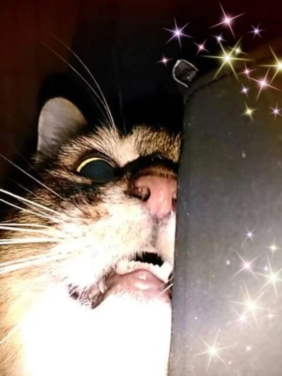 明日のご予約ありがとうございます♪