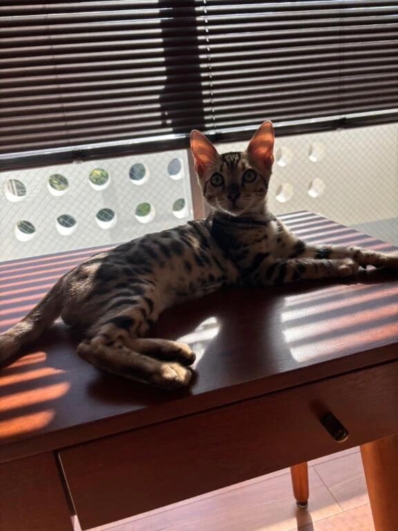 お礼日記&#128149;