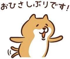 お久しぶりです♡