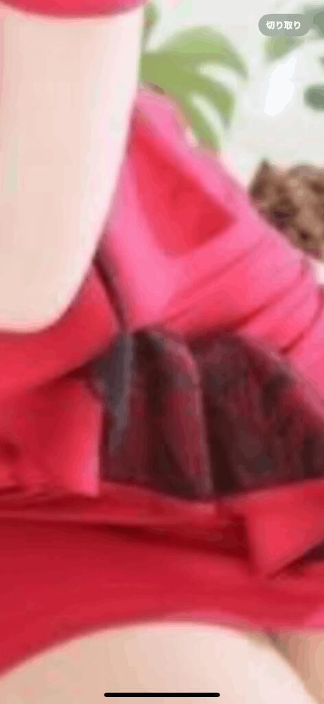 おはようございます