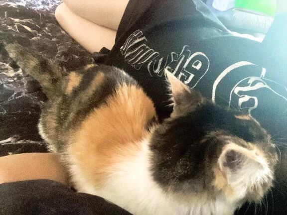 おはようございます