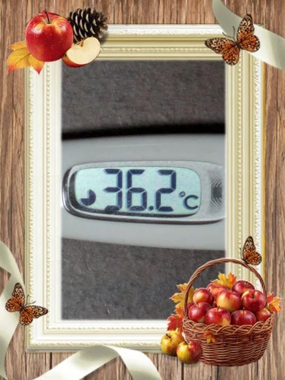 お出かけします