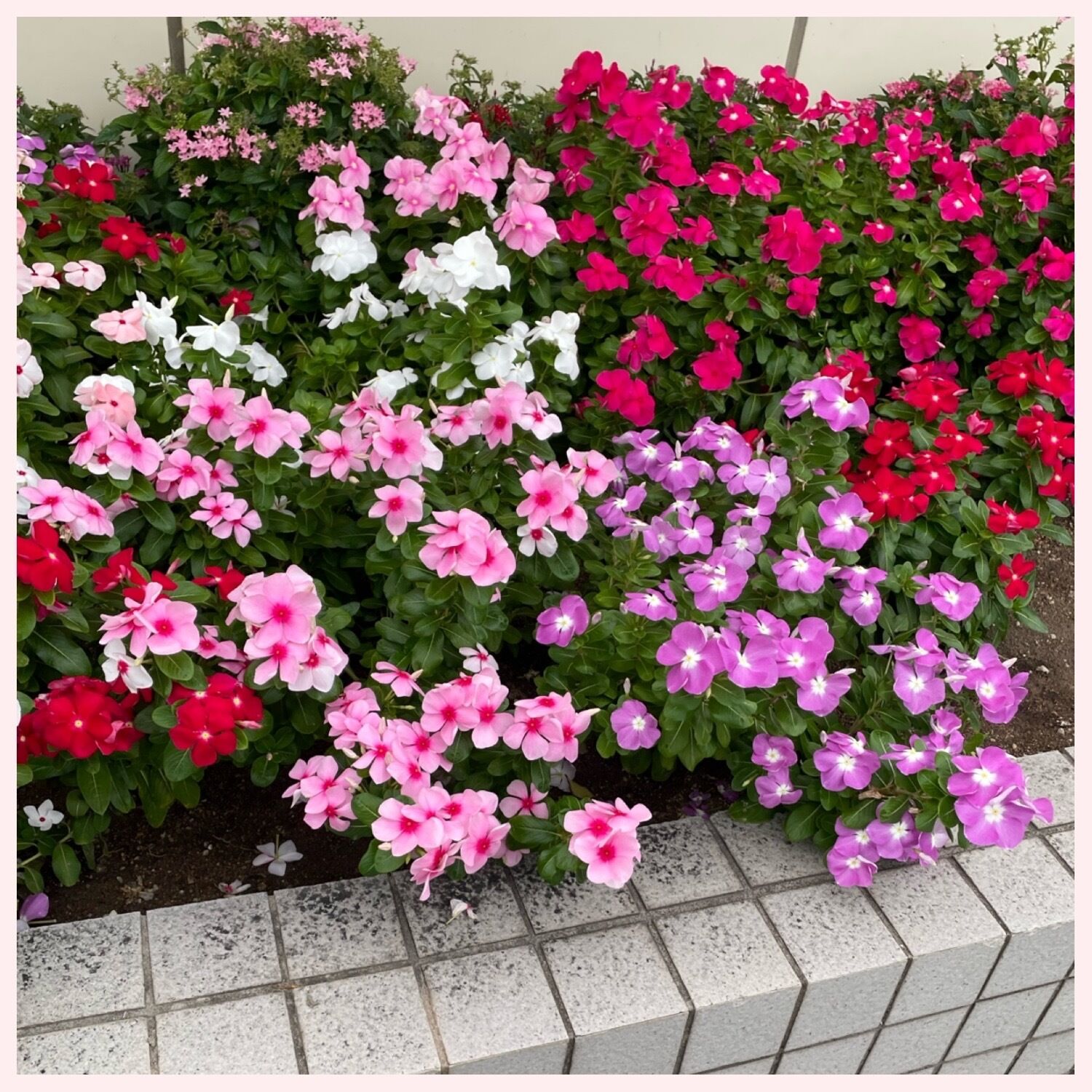 出勤してます(^^)