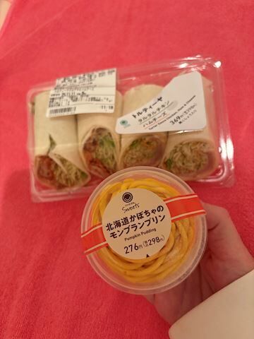 ディズニーランドより